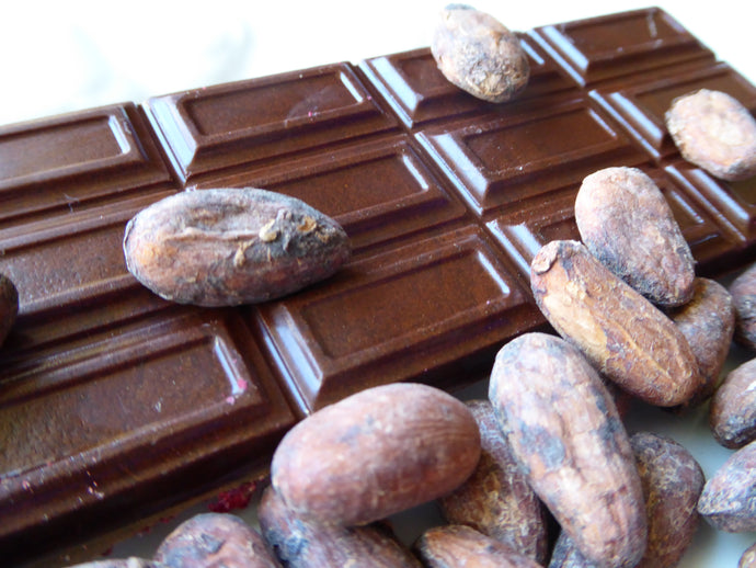 Dark Chocolate Versus Raw Cacao Chocolate