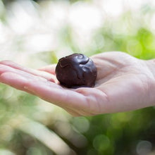 Load image into Gallery viewer, 24 PC SINGLE FLAVOR BOX