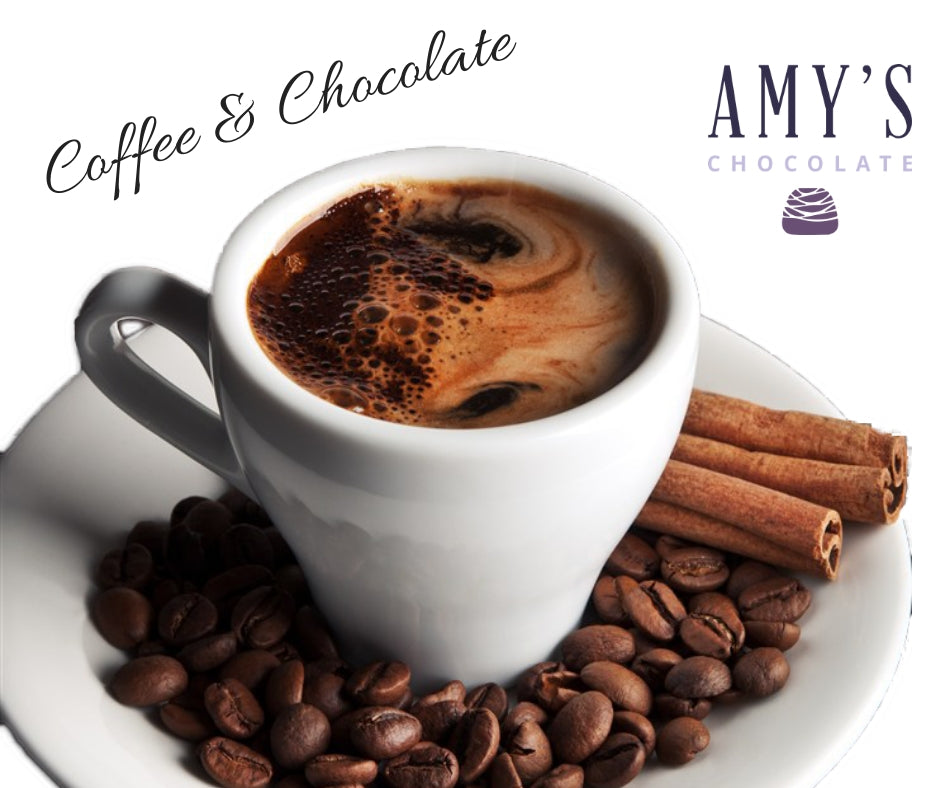 Chocolate-coffee Bûche de Noël – miamyummy