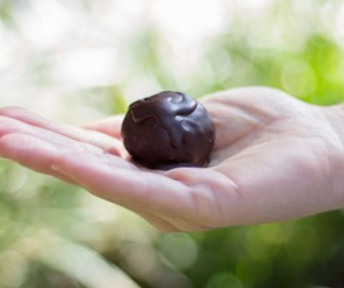 Red Wine Chocolate Cake Balls